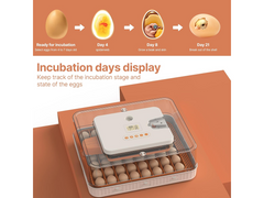 Egg Incubator