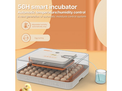 Egg Incubator