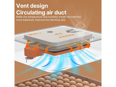 Egg Incubator