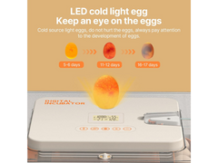 Egg Incubator