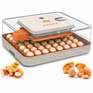 Egg Incubator