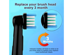 8 Pack Replacement Toothbrush Heads