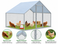 Outdoor Chicken Run with Roof Cover
