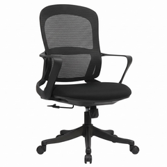 Ergonomic Office Chair