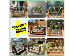 Glass Plant Terrarium
