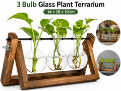 Glass Plant Terrarium