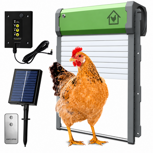 Automatic chicken coop door