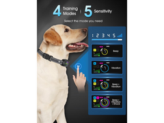 Smart Bark Control Training Collar