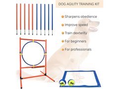 Dog Agility Training Equipment Set