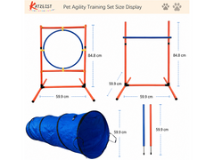 Dog Agility Training Equipment Set