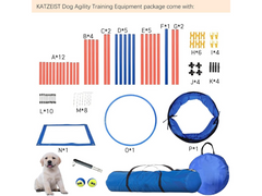 Dog Agility Training Equipment Set