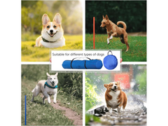 Dog Agility Training Equipment Set