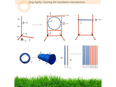 Dog Agility Training Equipment Set