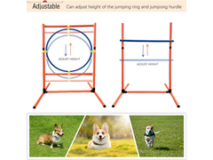 Dog Agility Training Equipment Set
