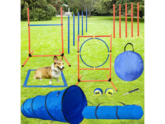 Dog Agility Training Equipment Set