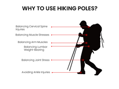 Trekking Poles (Pair)