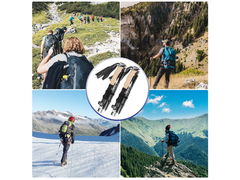 Trekking Poles (Pair)
