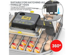 Automatic 48 Egg Incubator