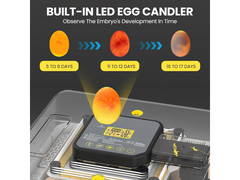 Automatic 48 Egg Incubator
