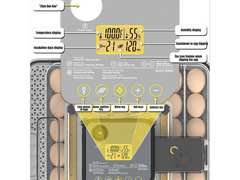 Automatic 48 Egg Incubator