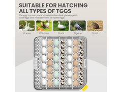 Automatic 48 Egg Incubator