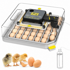 Automatic 48 Egg Incubator