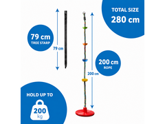 Tree Swing Set with Disc