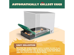 Chicken Nesting Box With 6 nests