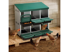 Chicken Nesting Box With 6 nests