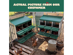 Chicken Nesting Box With 6 nests
