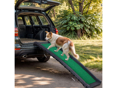 Dog Ramp
