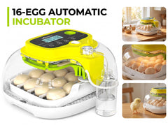 Automatic Egg Incubator
