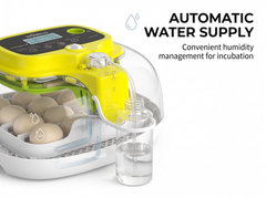 Automatic Egg Incubator