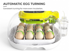 Automatic Egg Incubator