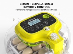 Automatic Egg Incubator