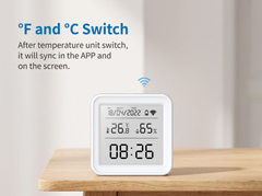 Temperature and Humidity Meter