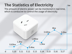 WiFi Smart Plug 16A