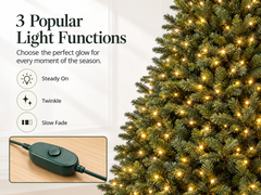Christmas tree with Light