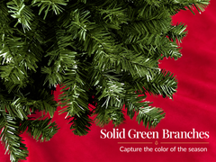 Christmas tree with Light