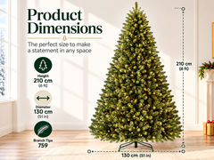 Christmas tree with Light