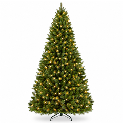 Christmas tree with Light
