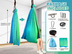 Hammock Swing