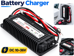 Lifepo4 Lithium Battery Charger