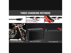 Trickle Battery Charger