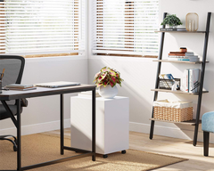 Display Ladder Shelf