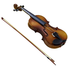 full size 4 4 violin