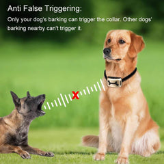 Dog Barking Control Dog Bark Collar Anti Bark - The Shopsite