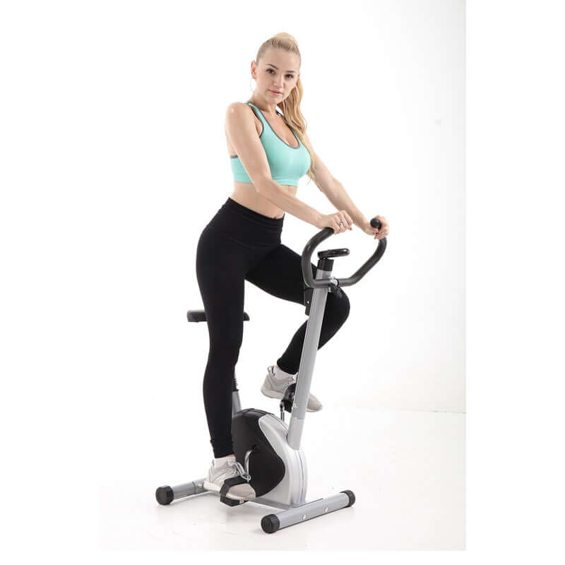 Exercise Bike Indoor Home Gym Equipment Spin Bike - The Shopsite