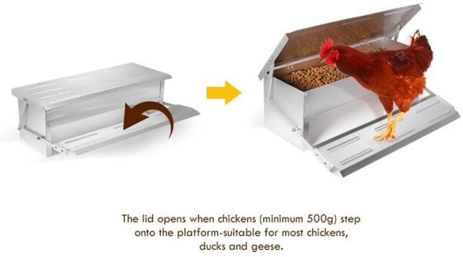 Chicken Feeder Automatic 10Kg - The Shopsite