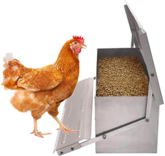 Chicken Feeder Automatic 10Kg - The Shopsite